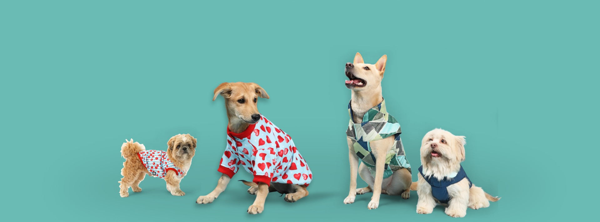 Seasonal Wardrobe Essentials for Your Furry Friend