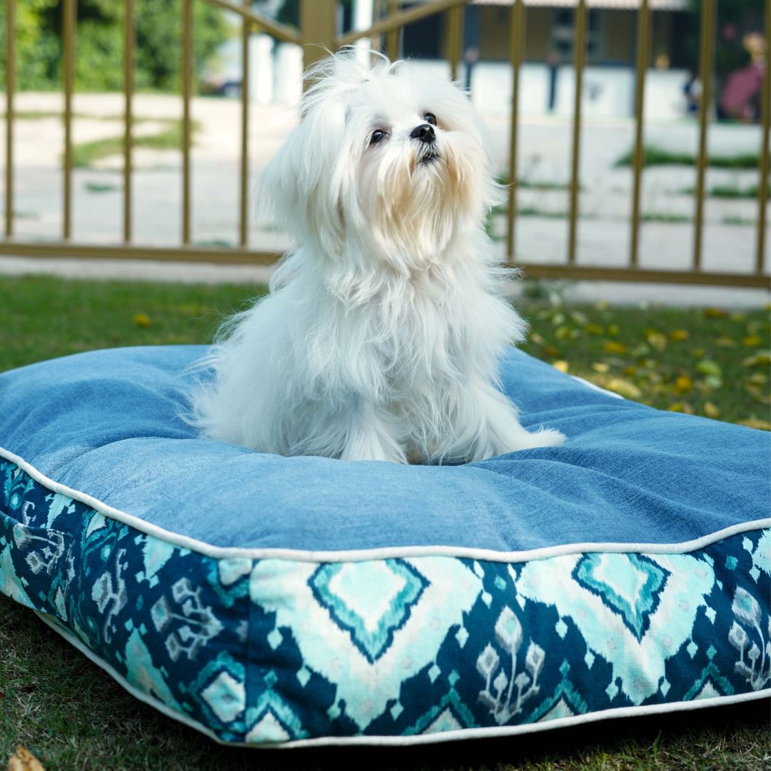 Tana Ban Ocean Dog Mattress