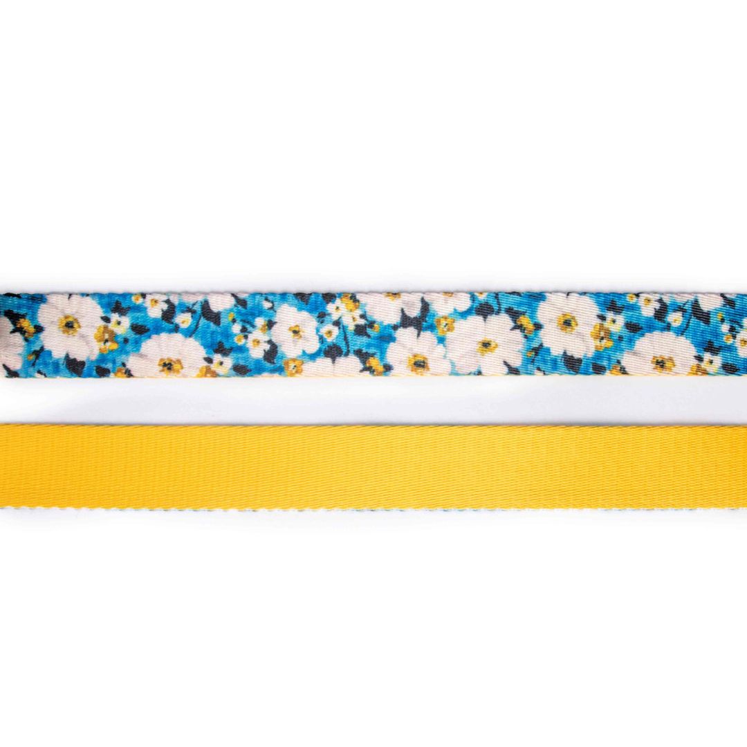 Blossom Dog Collar Leash Set