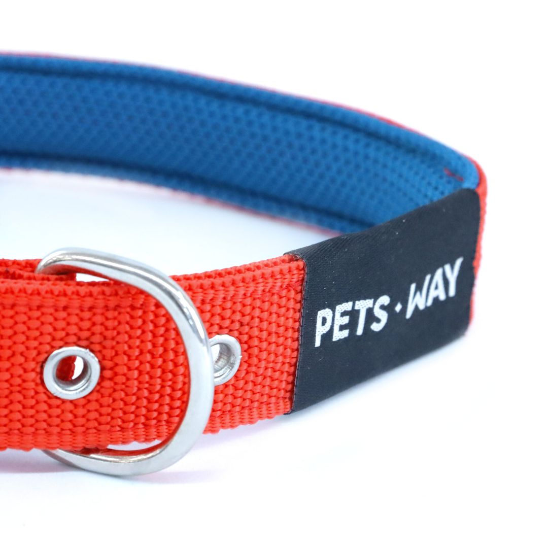 Jam Every Day Dog Collar Leash Set