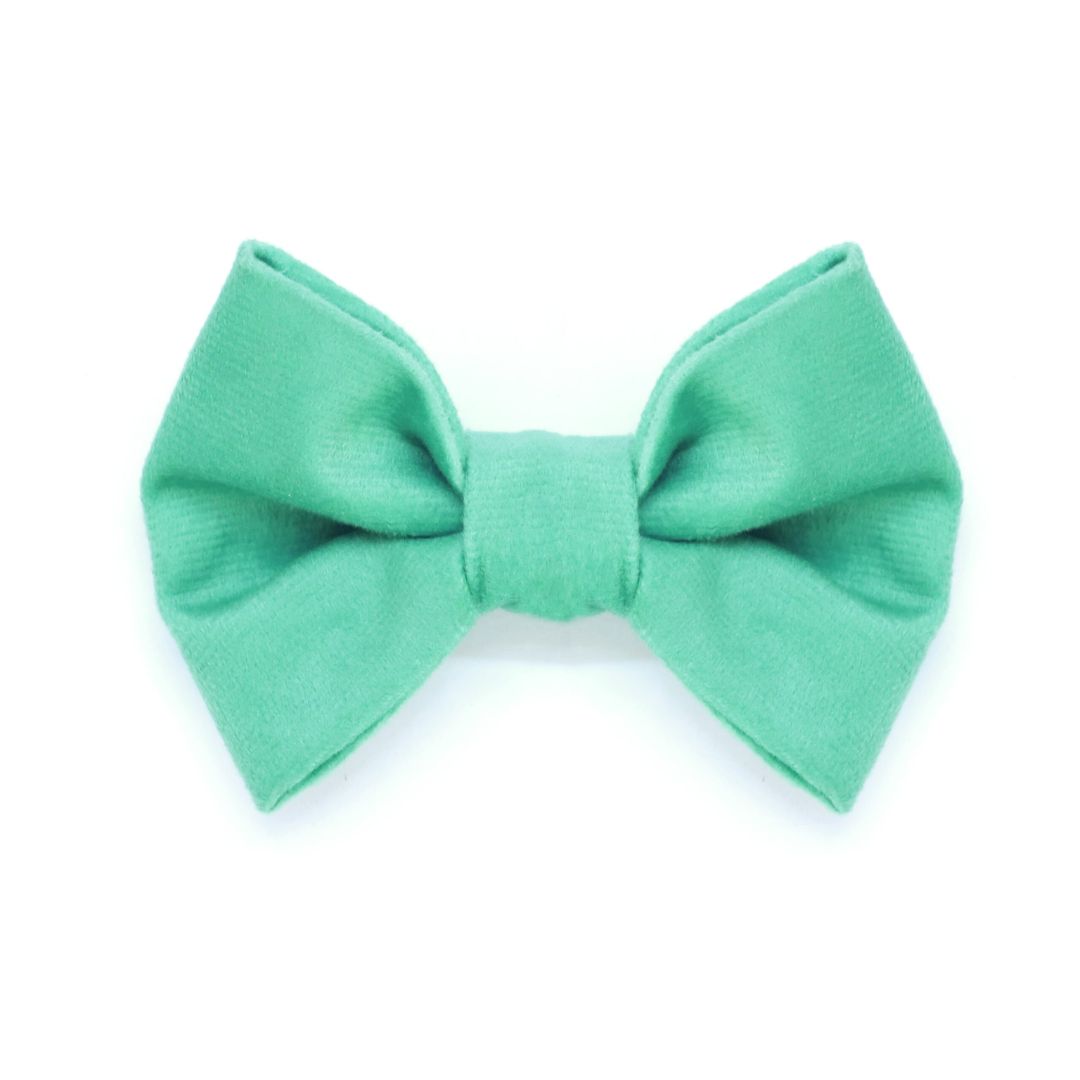 Teal Luxury Velvet Collar & Leash with Bow Tie