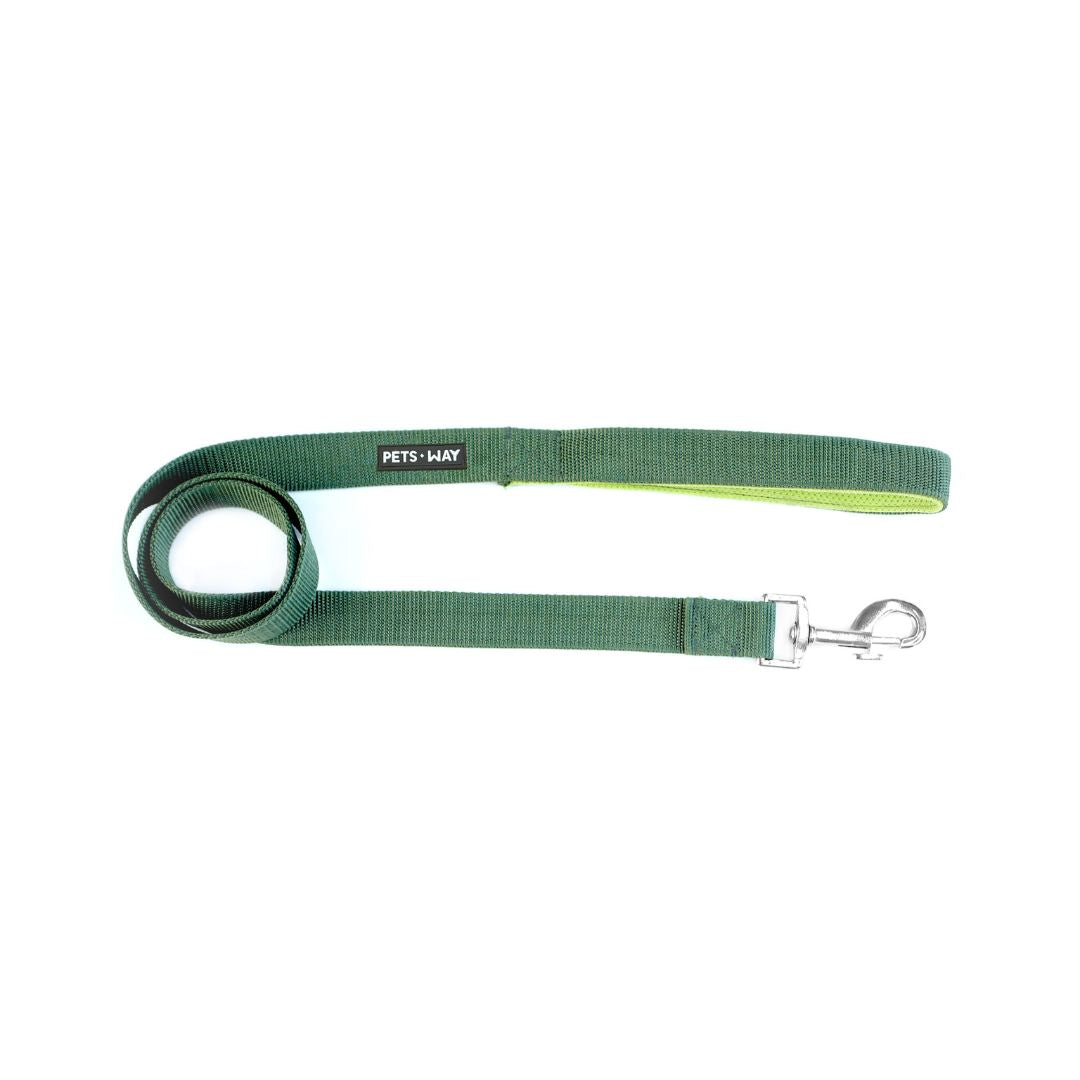Olive Every Day Dog Collar Leash Set