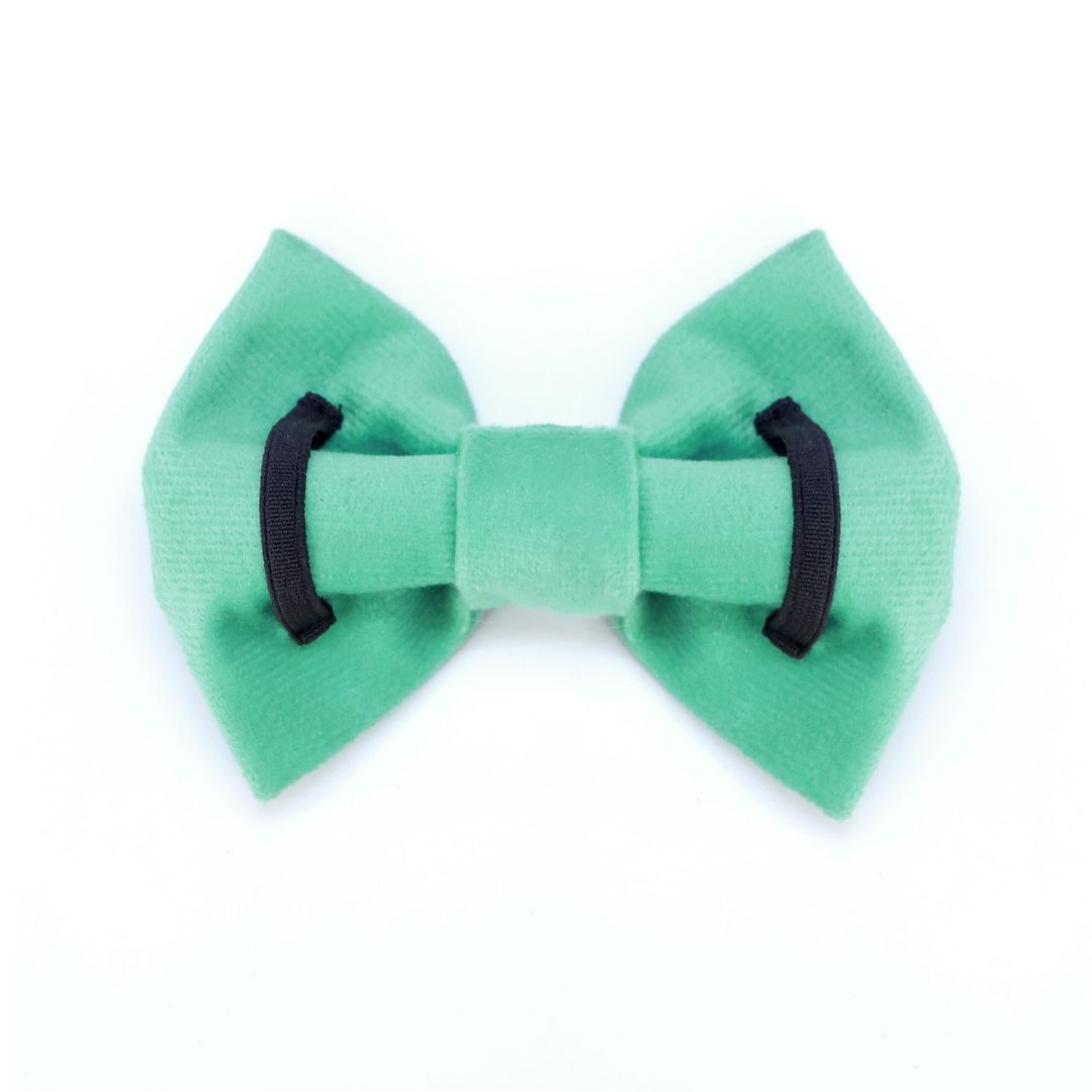 Teal Luxury Velvet Collar & Leash with Bow Tie