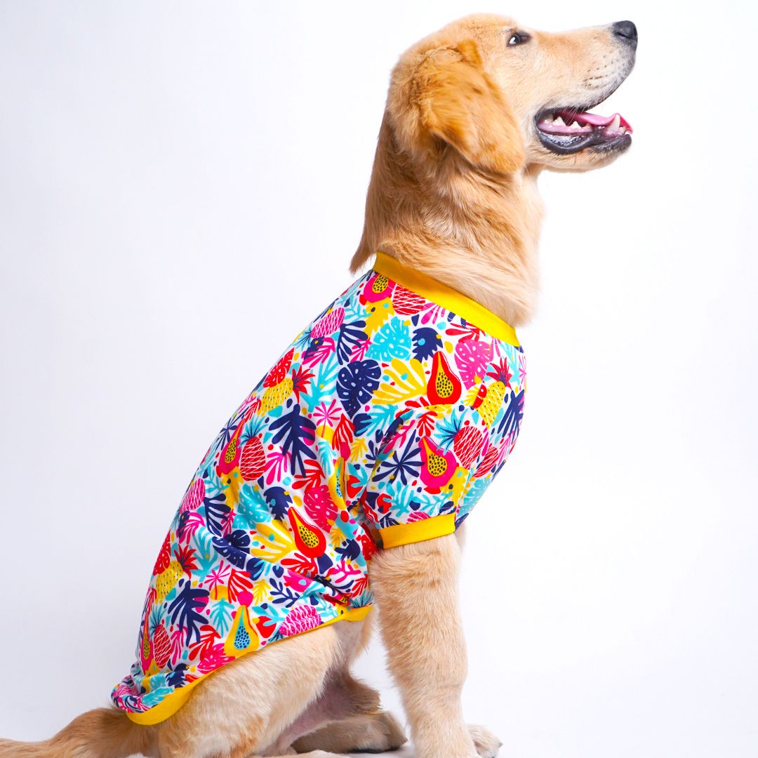 Beach - Printed Dog T Shirt Combo - Pack of 2