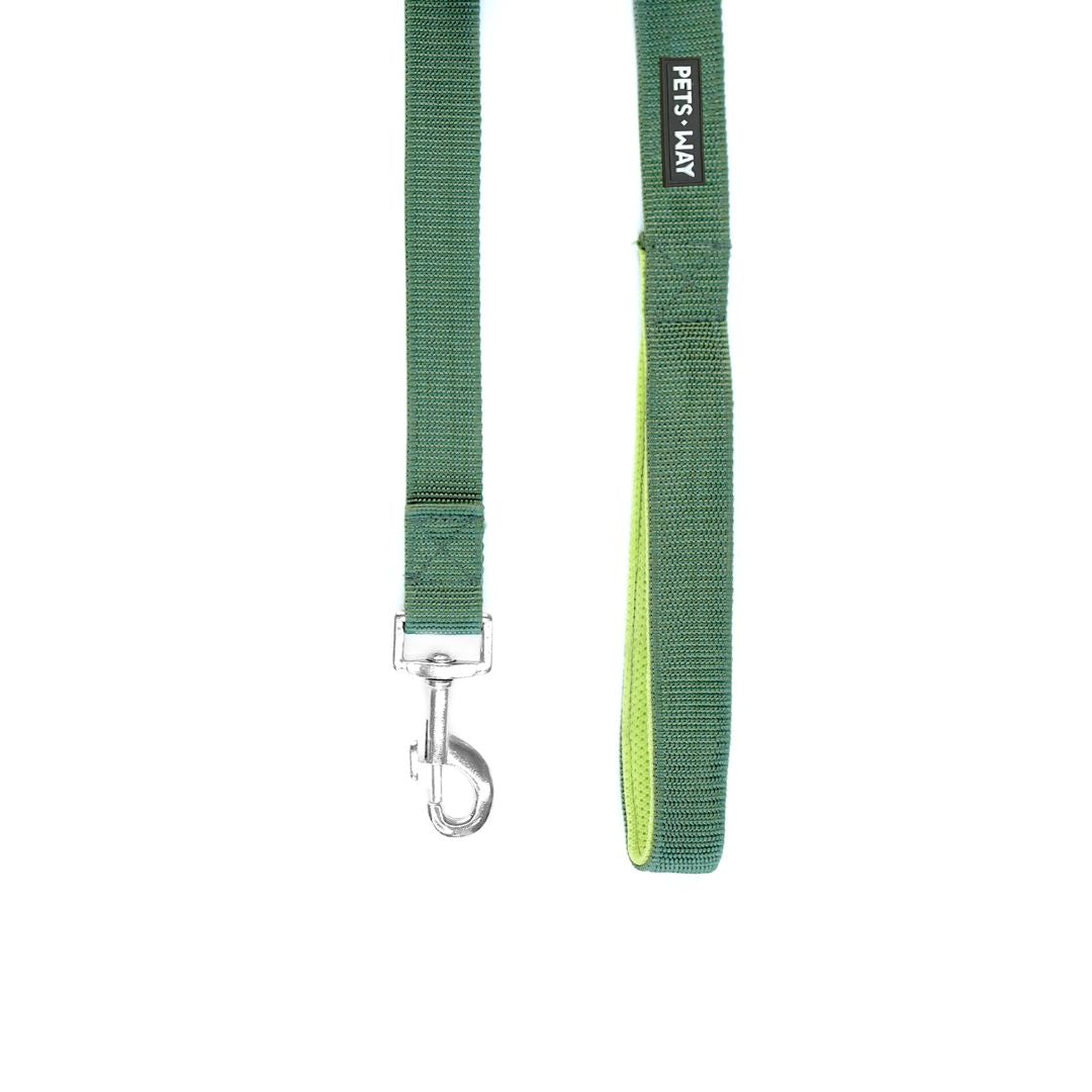 Olive Every Day Dog Collar Leash Set