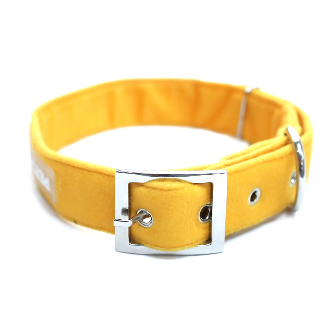 Amber Luxury Velvet Collar & Leash with Bow Tie