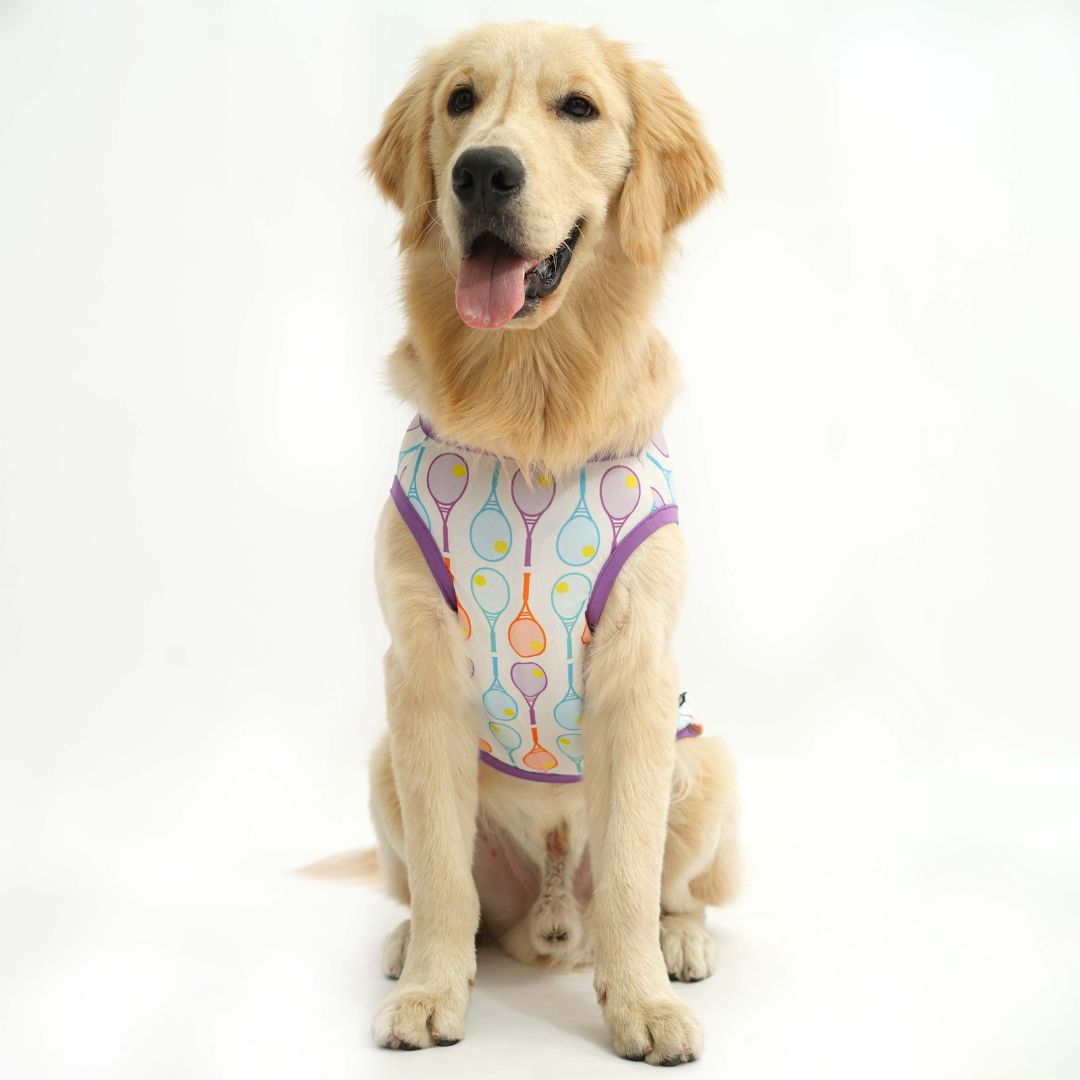 Retro Fun Dog Vest Combo - Pack of 2