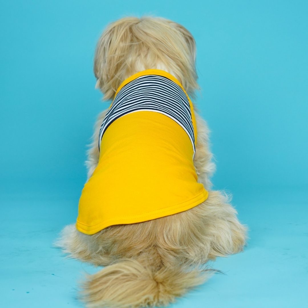 Fetch Dog Vest Combo - Pack of 3