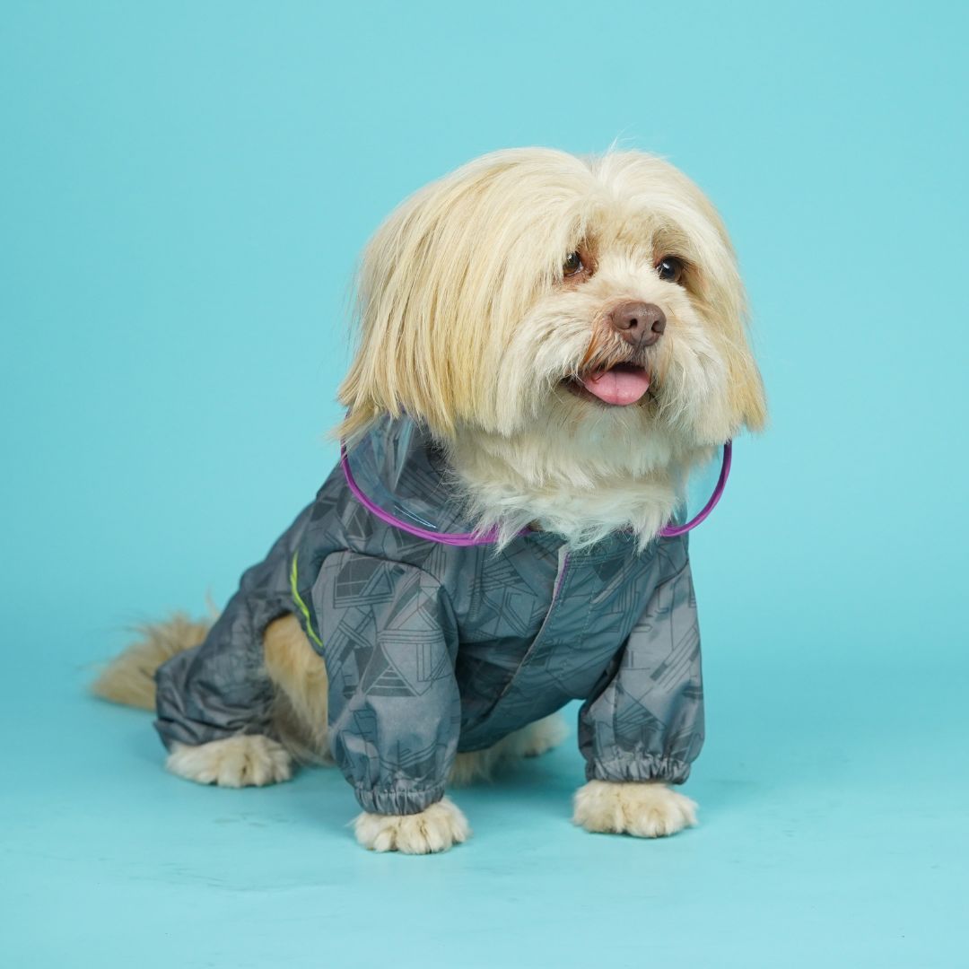 Furcast Dog Raincoat-Dust