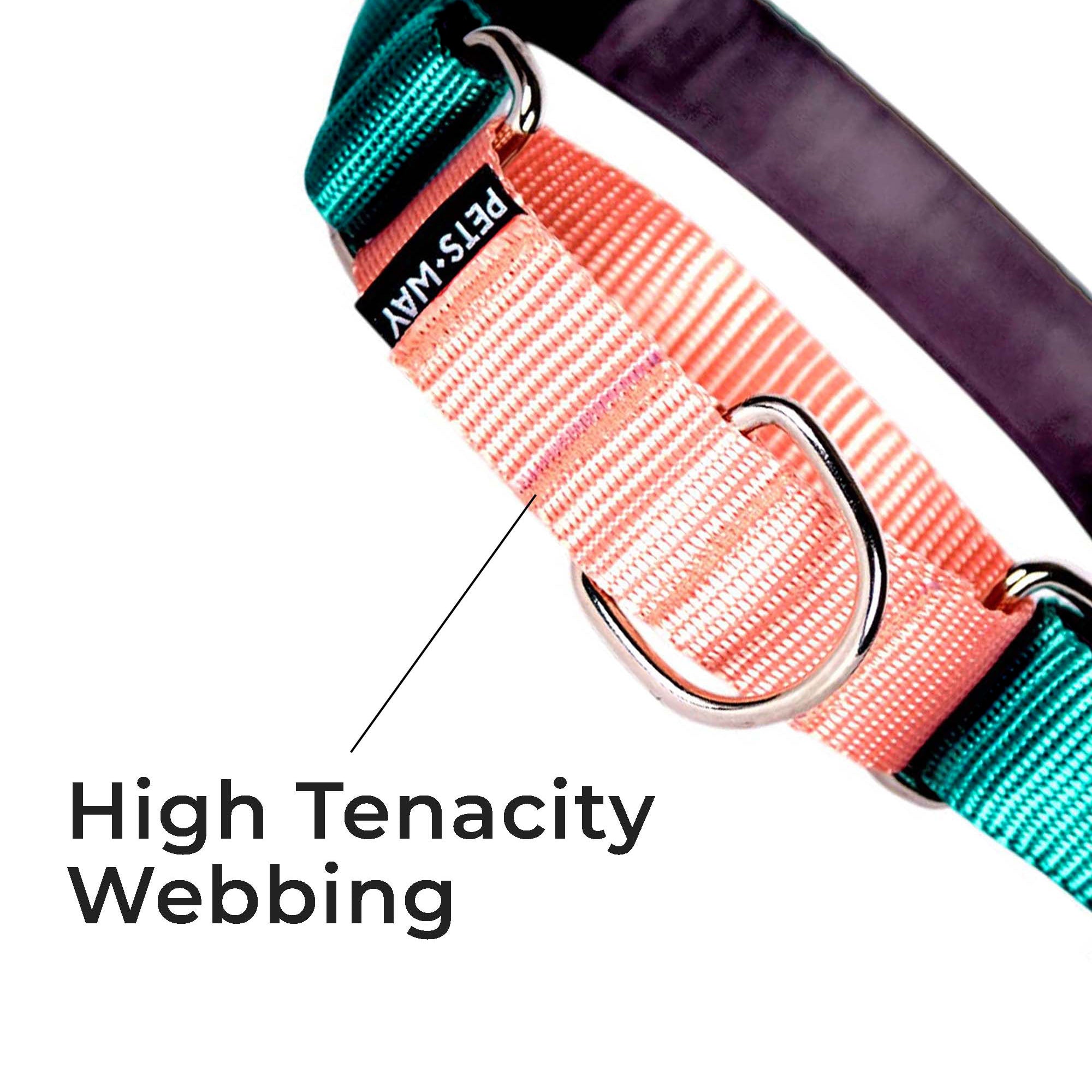 EMERALD & PEACH MARTINGALE COLLAR