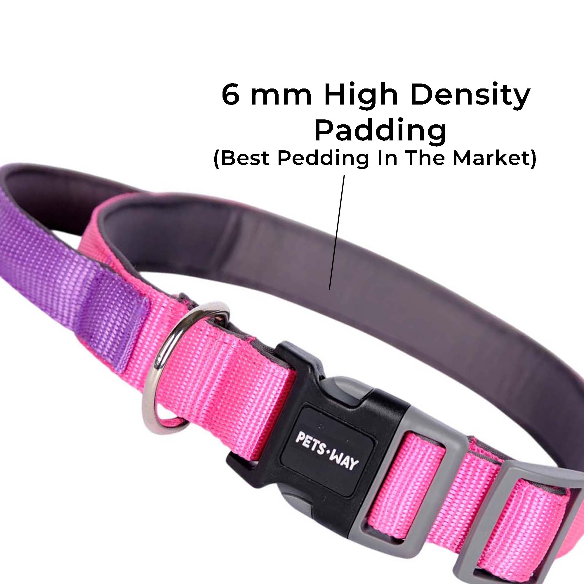 FUCHSIA & AMETHYST PRO GRIP COLLAR