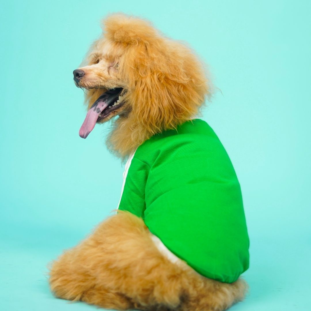Dive In Stripes - Forest Dog TShirt