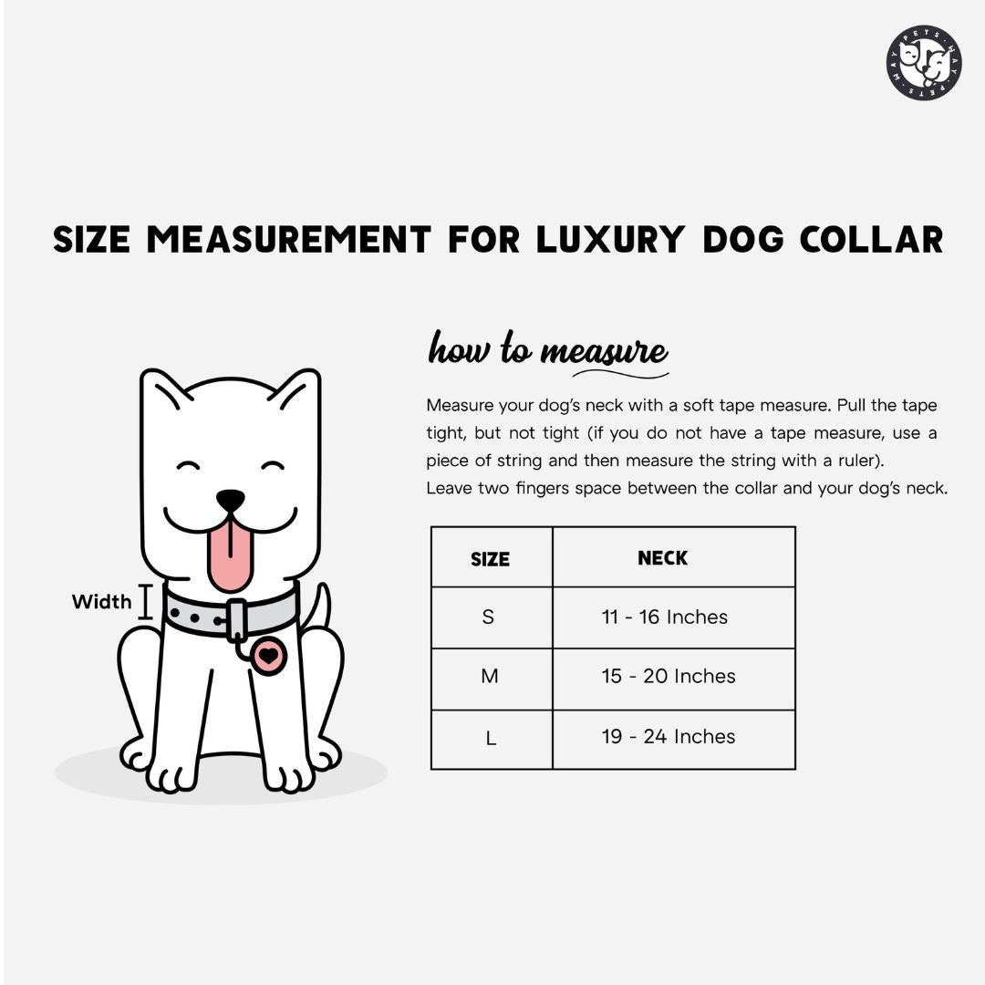 Butterscotch Every Day Dog Collar & Leash Set