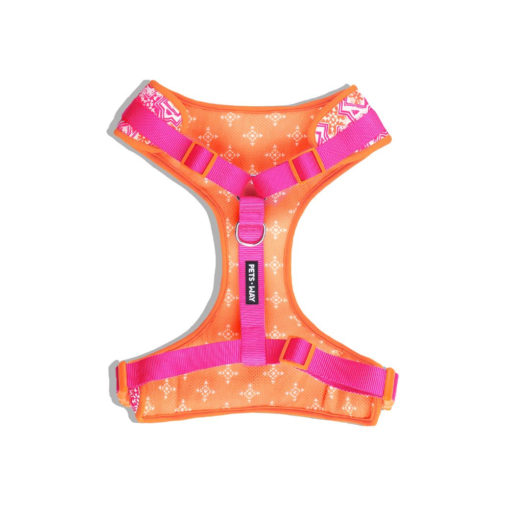 Jaipur Vest Harness
