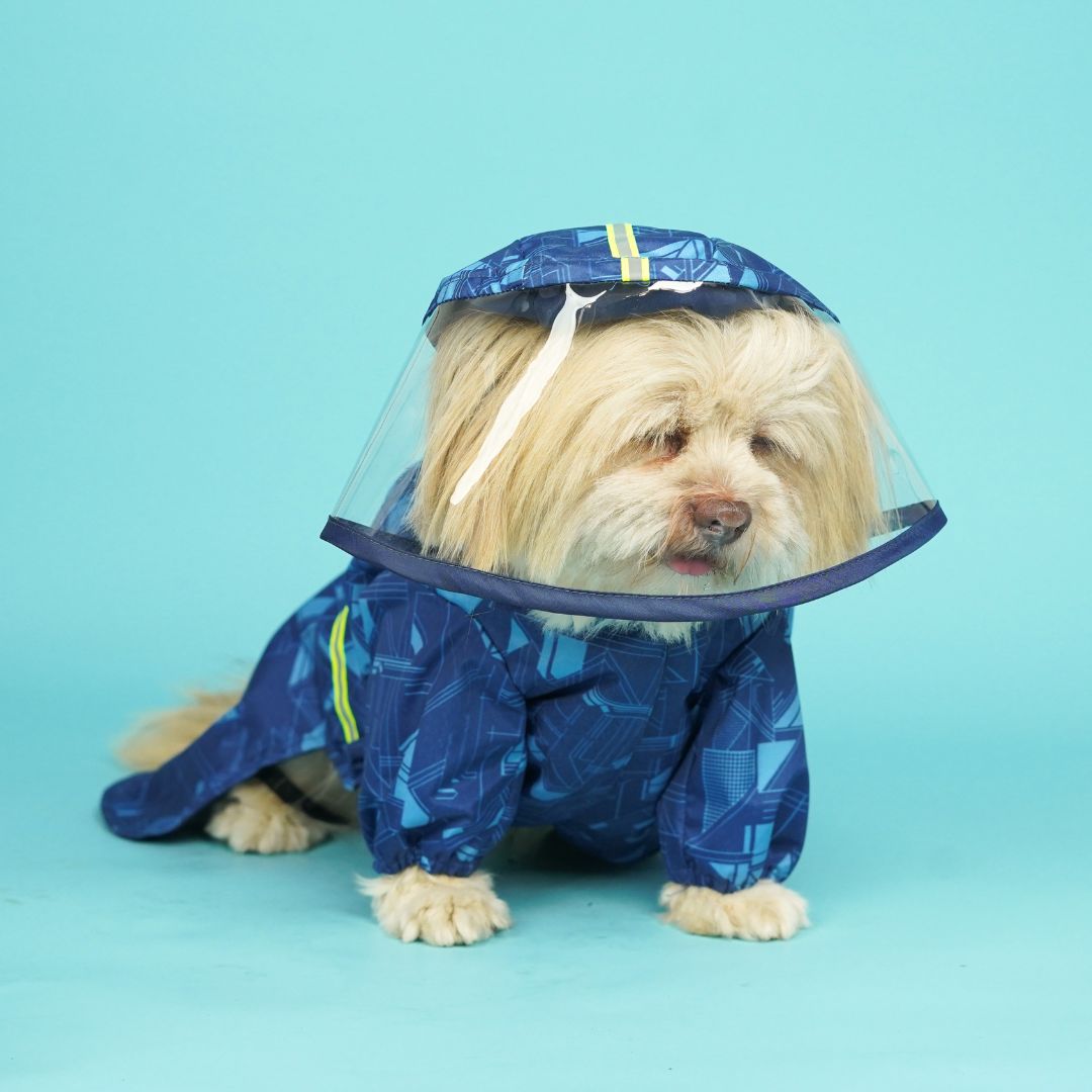 Haze Dog Raincoat-Cobalt