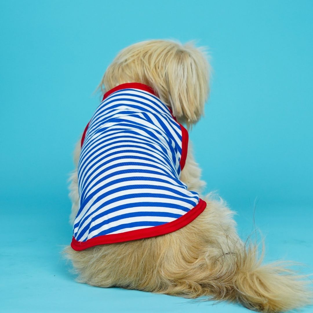 Anchor Dog Vest