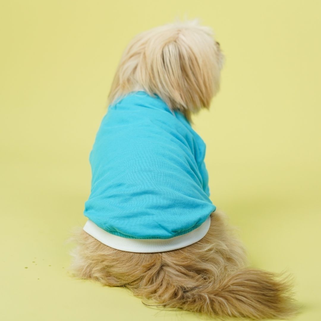 Dive In Stripes - Ocean Dog TShirt
