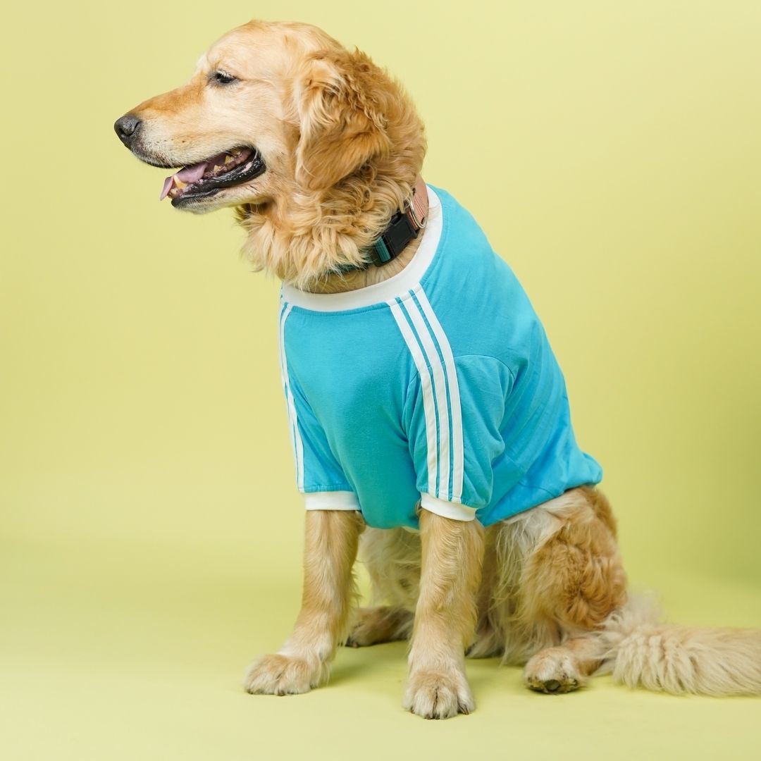 Dive In Stripes - Ocean Dog TShirt