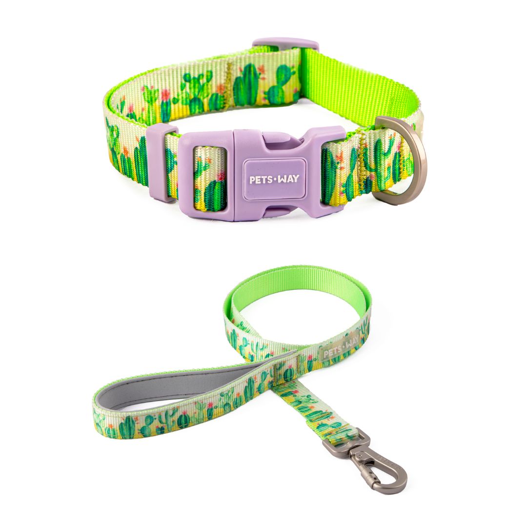 Desert Dog Collar Leash Set - Main Image