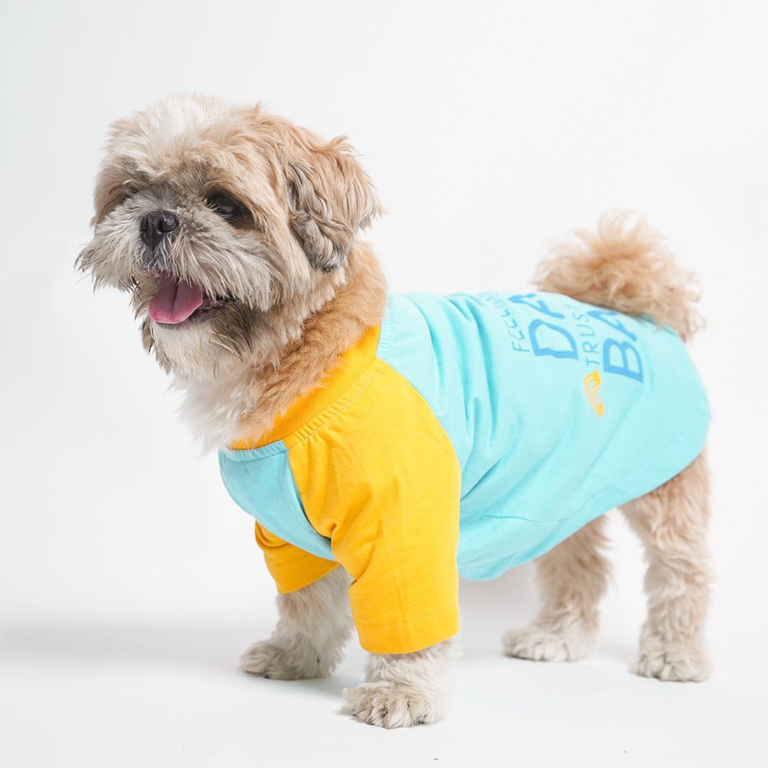 Best Bark - Dog T shirt Combo - Pack of 2