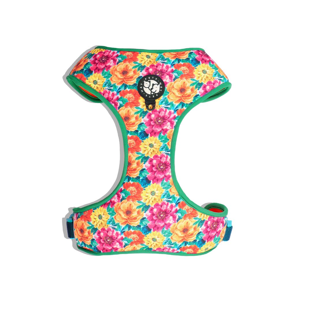 Spring vest Harness