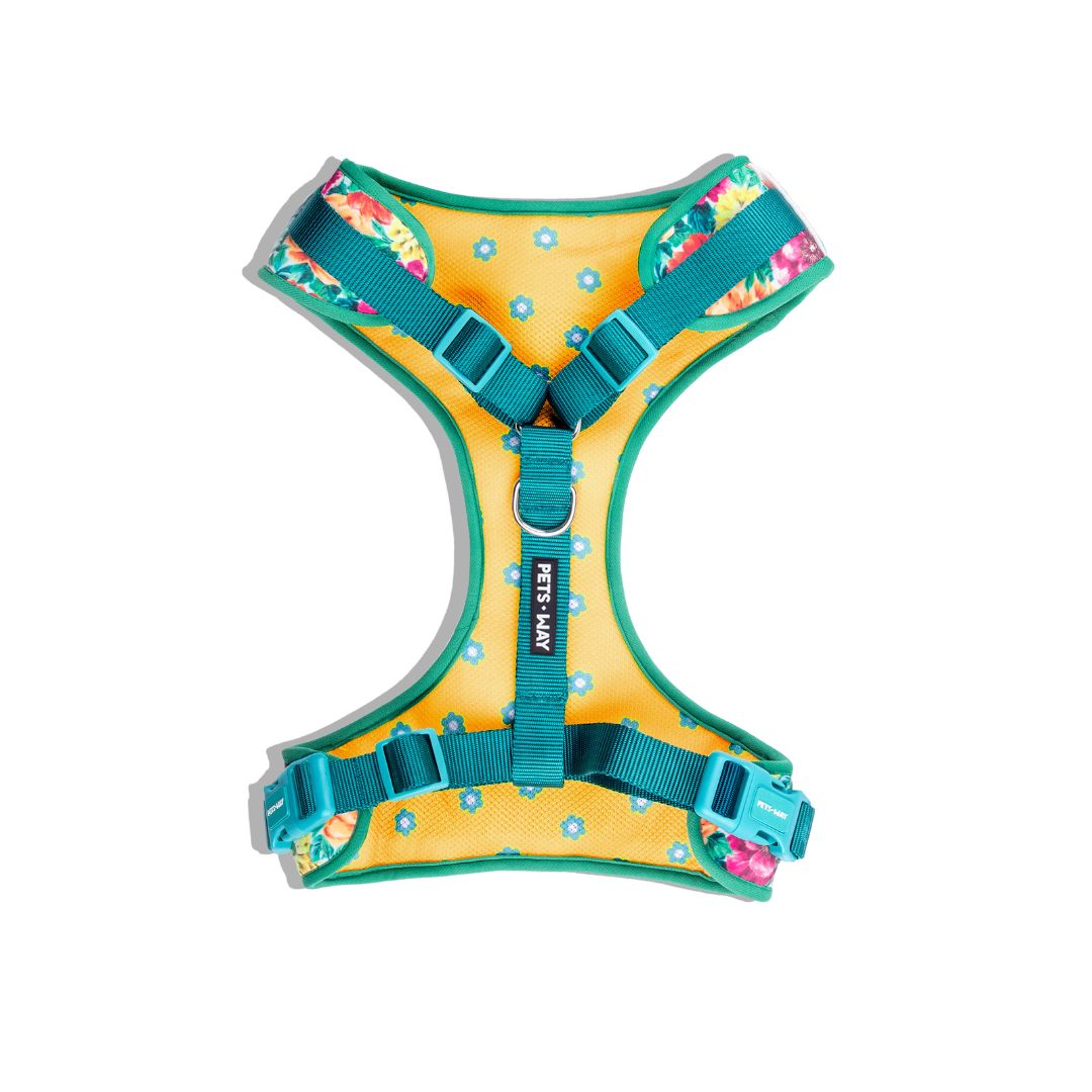 Spring vest Harness