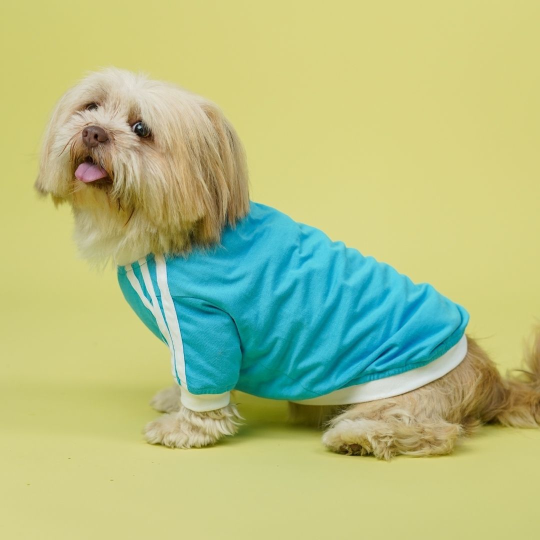 Dive In Stripes - Ocean Dog TShirt