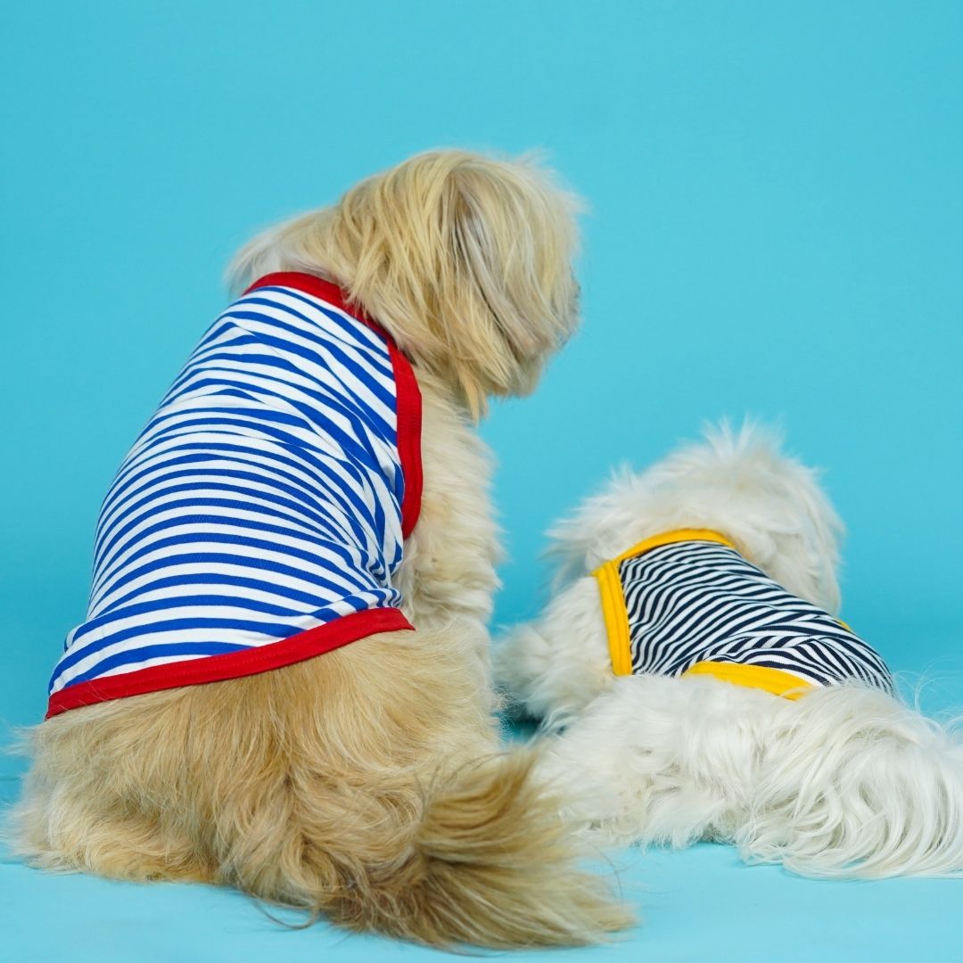 Fetch Dog Vest Combo - Pack of 3