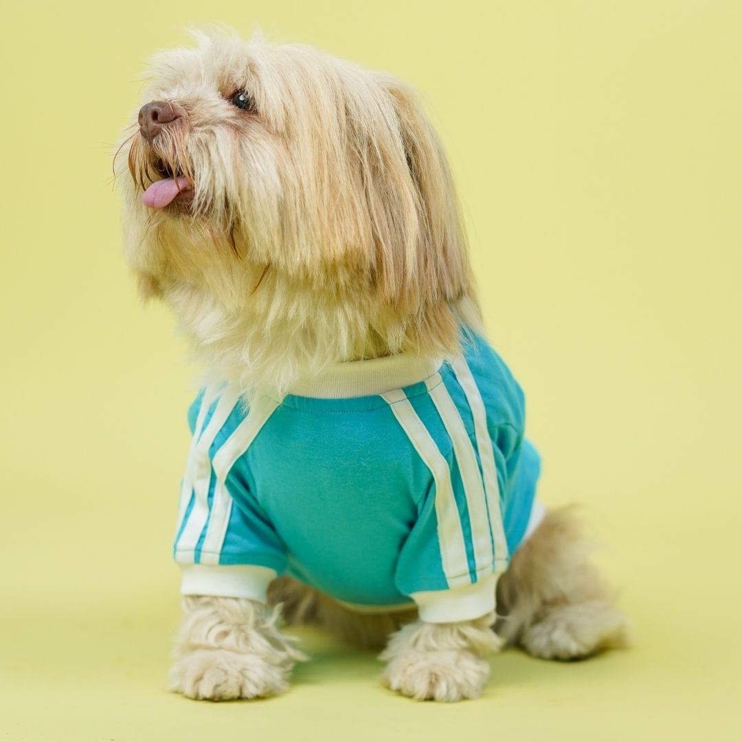 Dive In Stripes - Ocean Dog TShirt