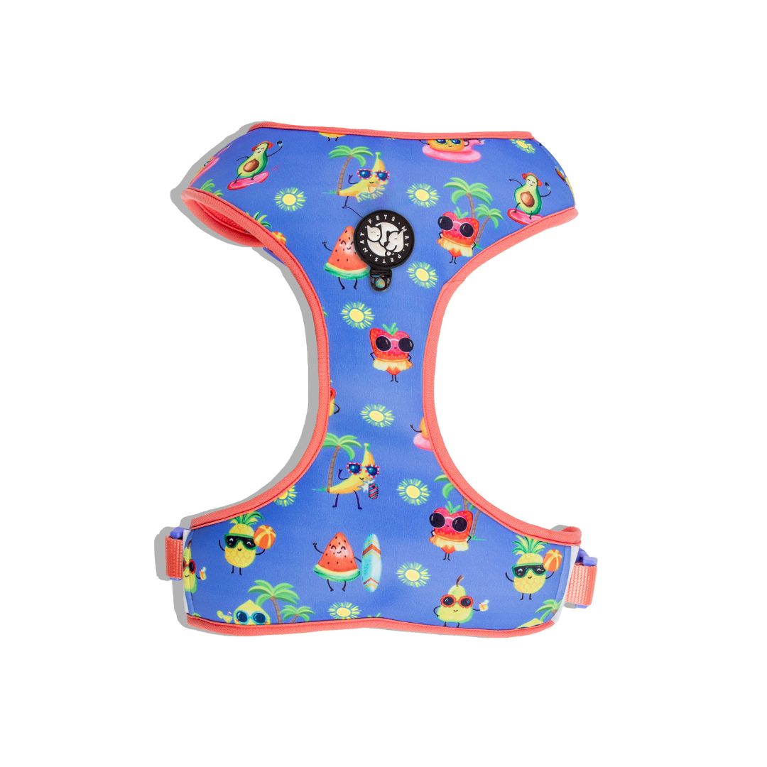 Summer Vest Harness