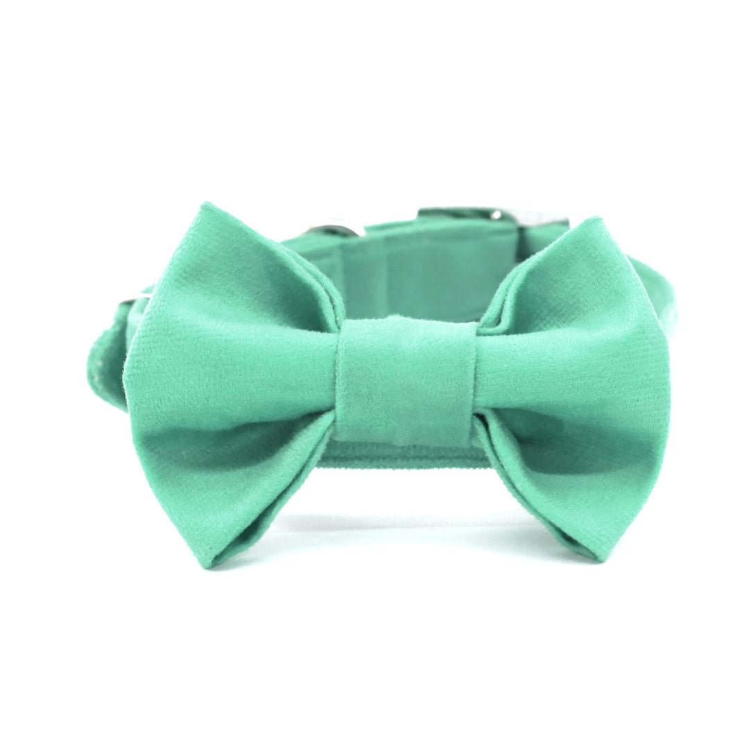 Teal Luxury Velvet Collar & Leash with Bow Tie