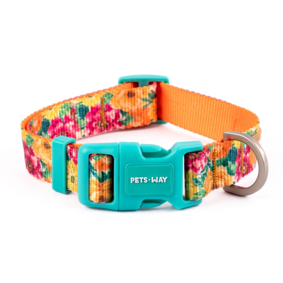 Spring Dog Collar Leash Set
