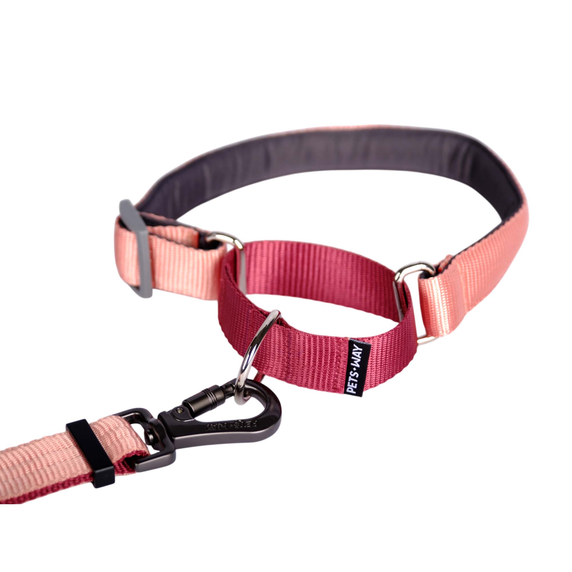 PEACH & WINE MARTINGALE COLLAR