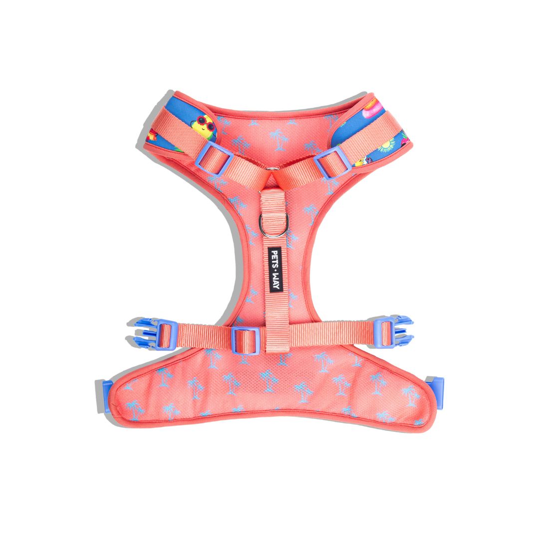 Summer Vest Harness