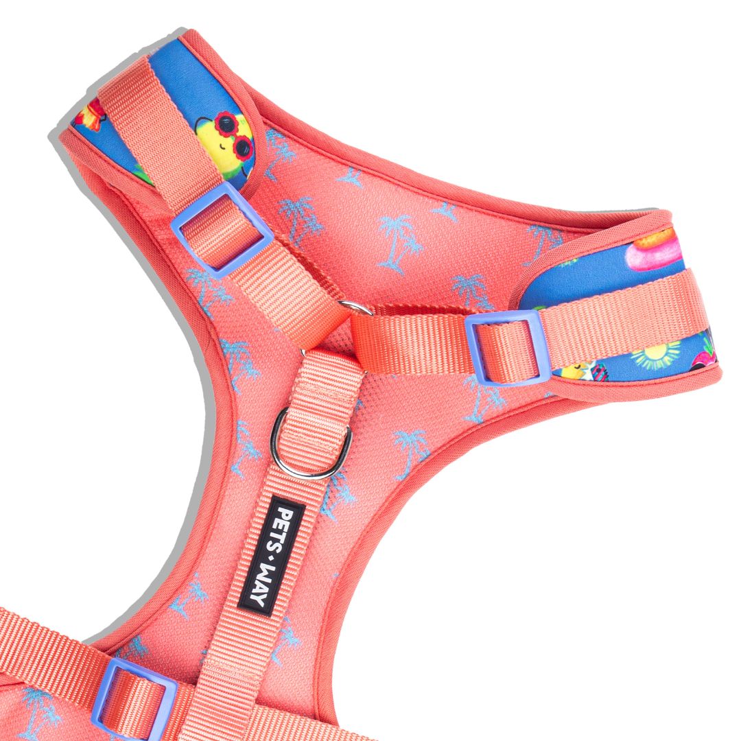 Summer Vest Harness