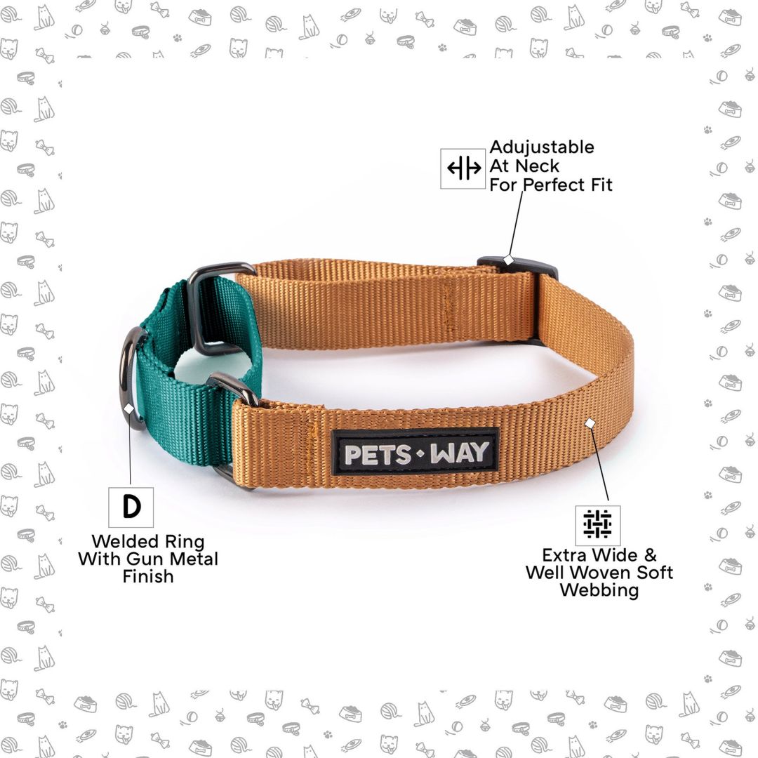 Honey and Emerald - Martingale Collar Dog Collar