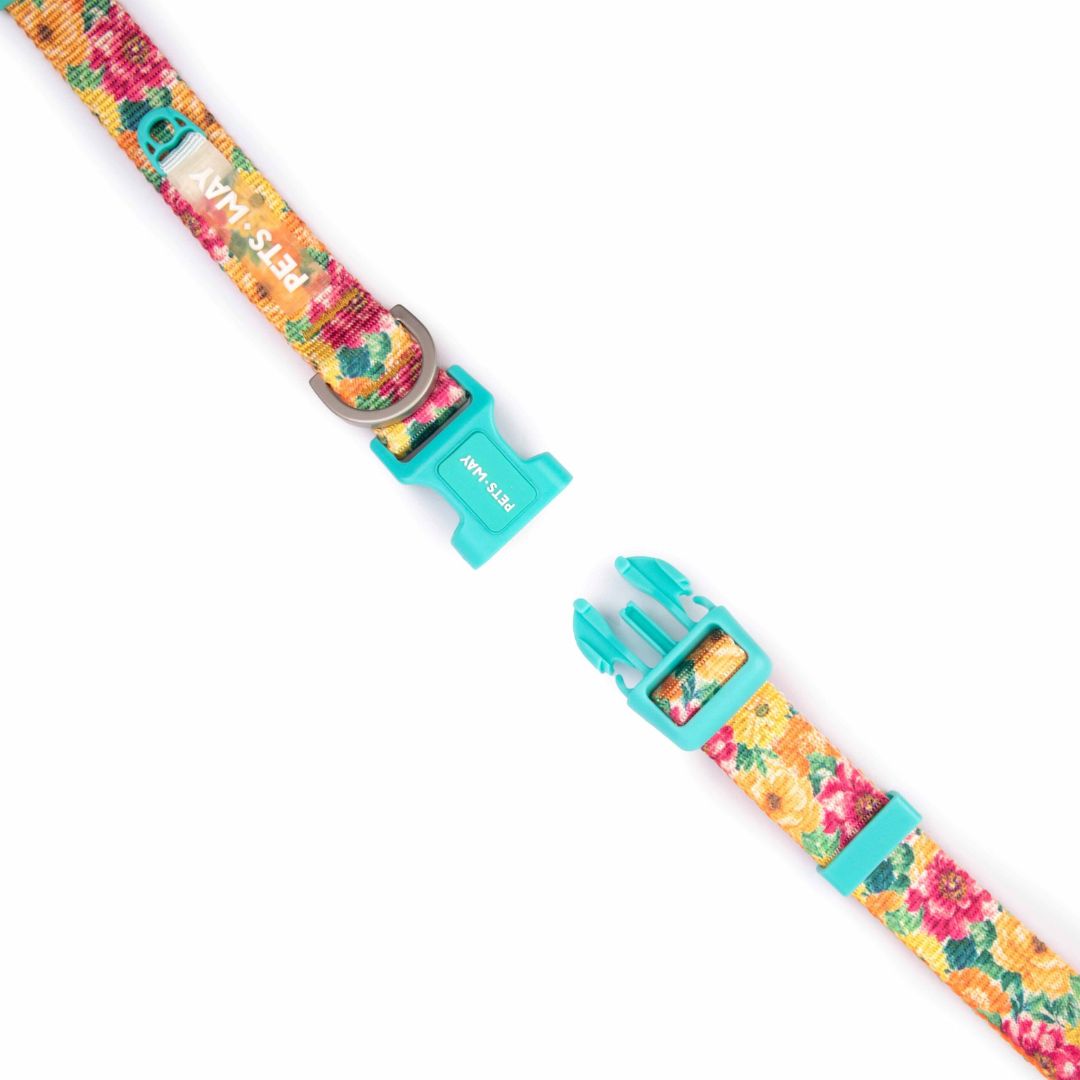 Spring Dog Collar Leash Set