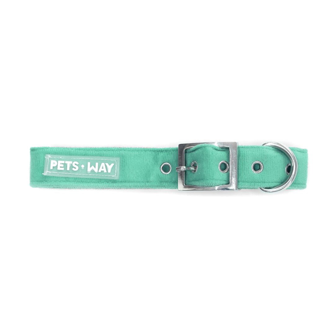 Teal Luxury Velvet Collar & Leash with Bow Tie