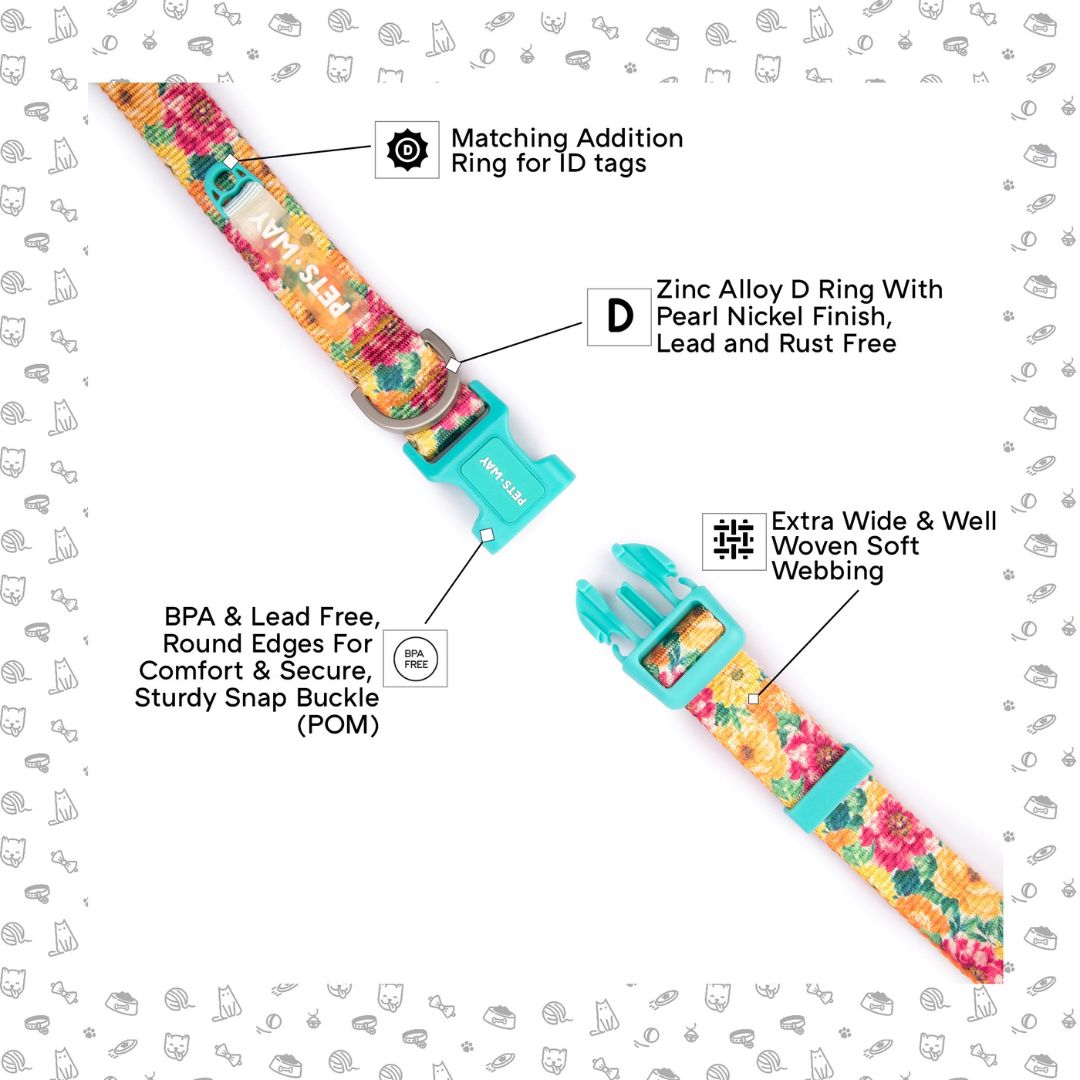 Spring Dog Collar Leash Set