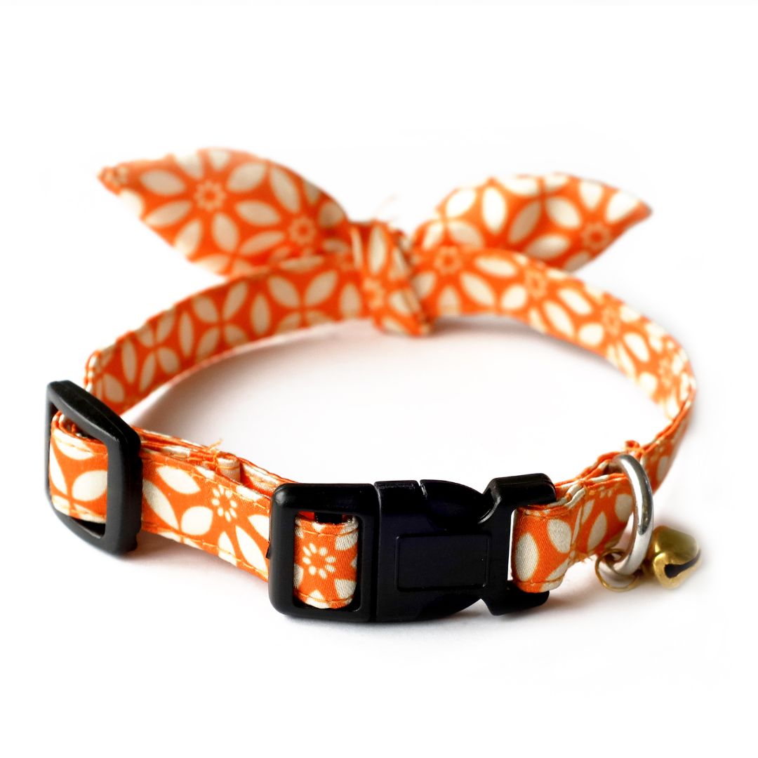 Rangoli Puppy & Cat Collar Leash Set