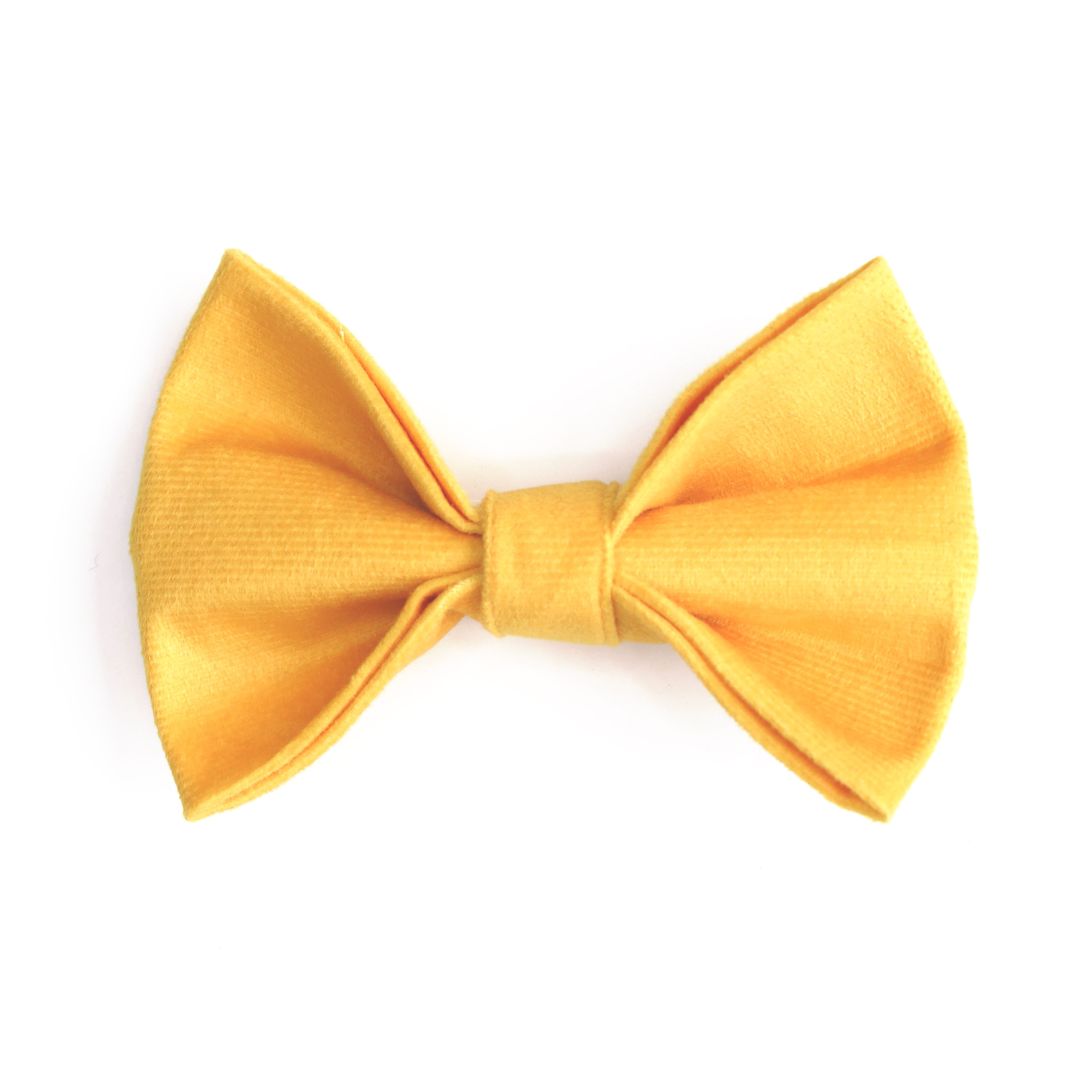 Amber Luxury Velvet Collar & Leash with Bow Tie