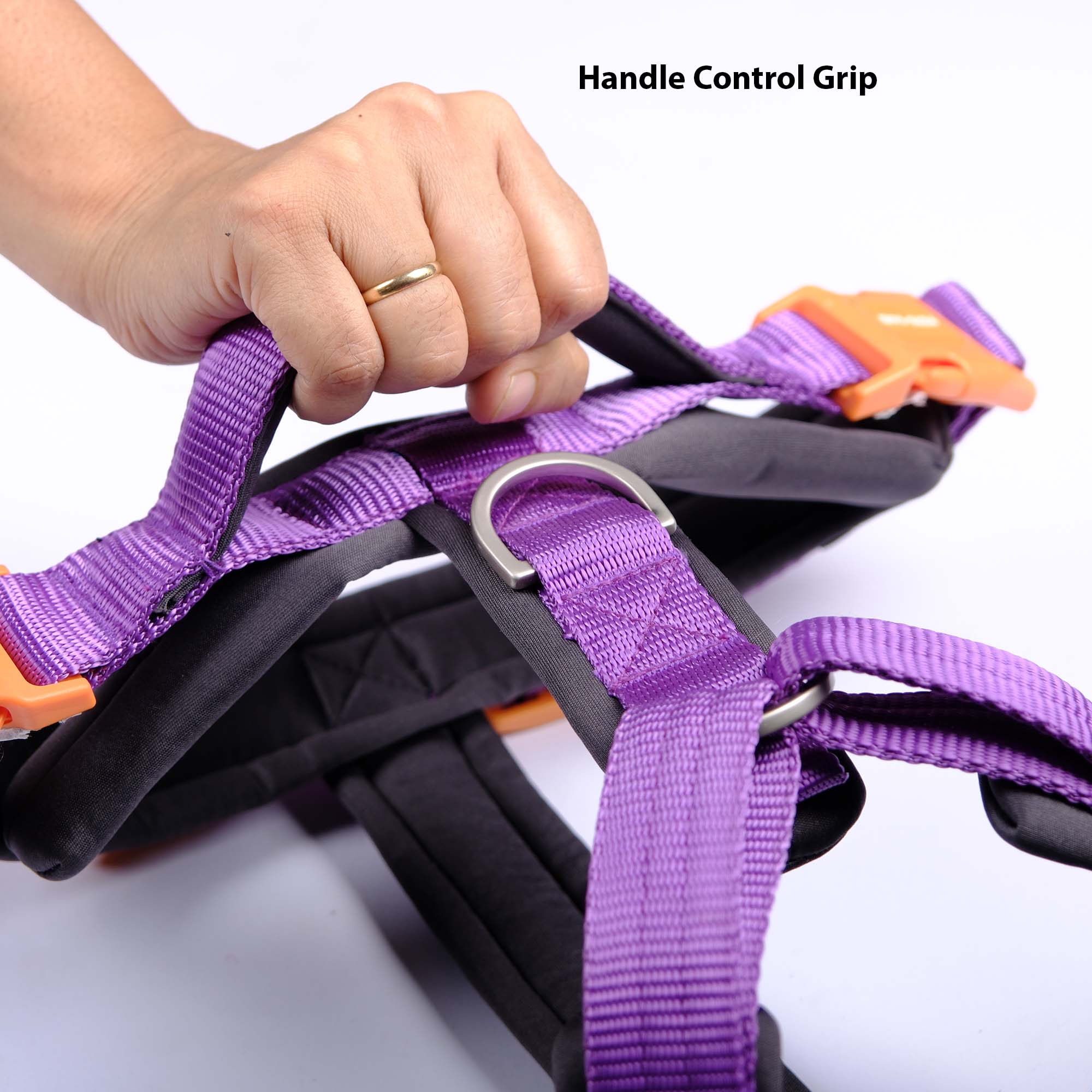AMETHYST ALPHA HARNESS