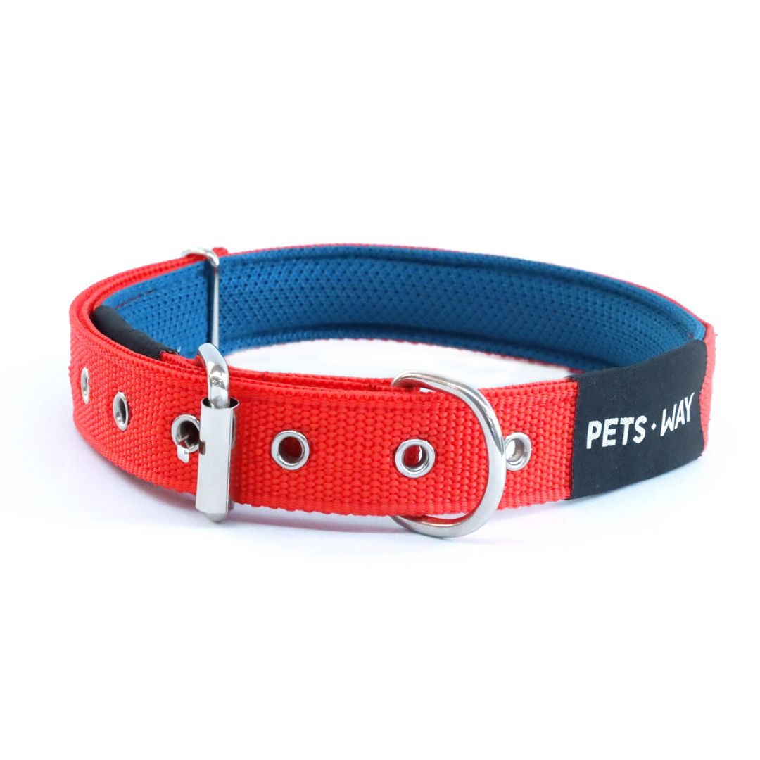 Jam Every Day Dog Collar Leash Set