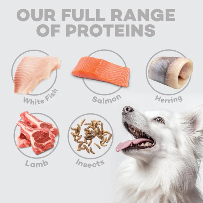 Nature's Protection Superior Care White Dogs Lamb Adult Small and Mini Breeds Dog Dry Food