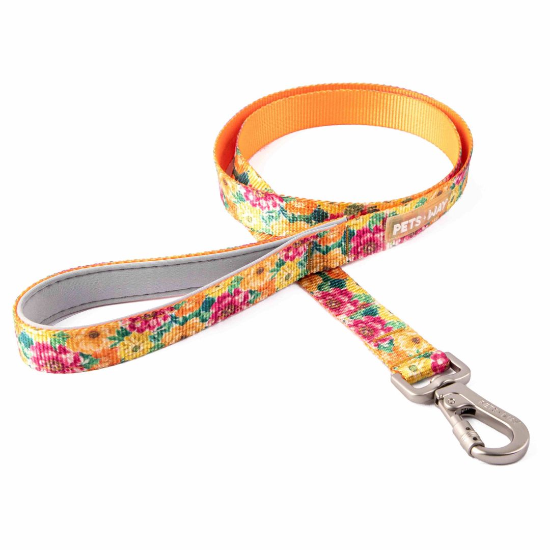 Spring Dog Collar Leash Set