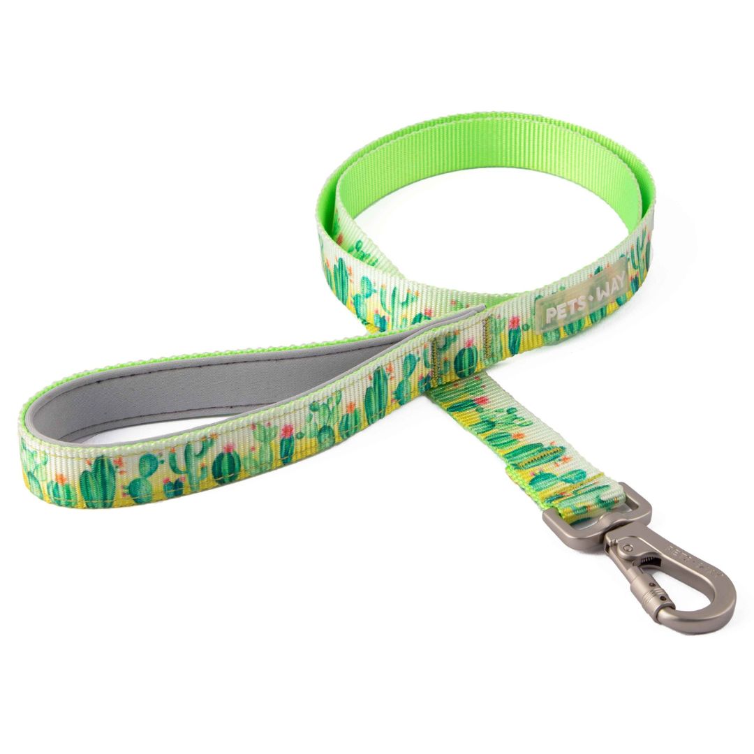 Desert Dog Collar Leash Set