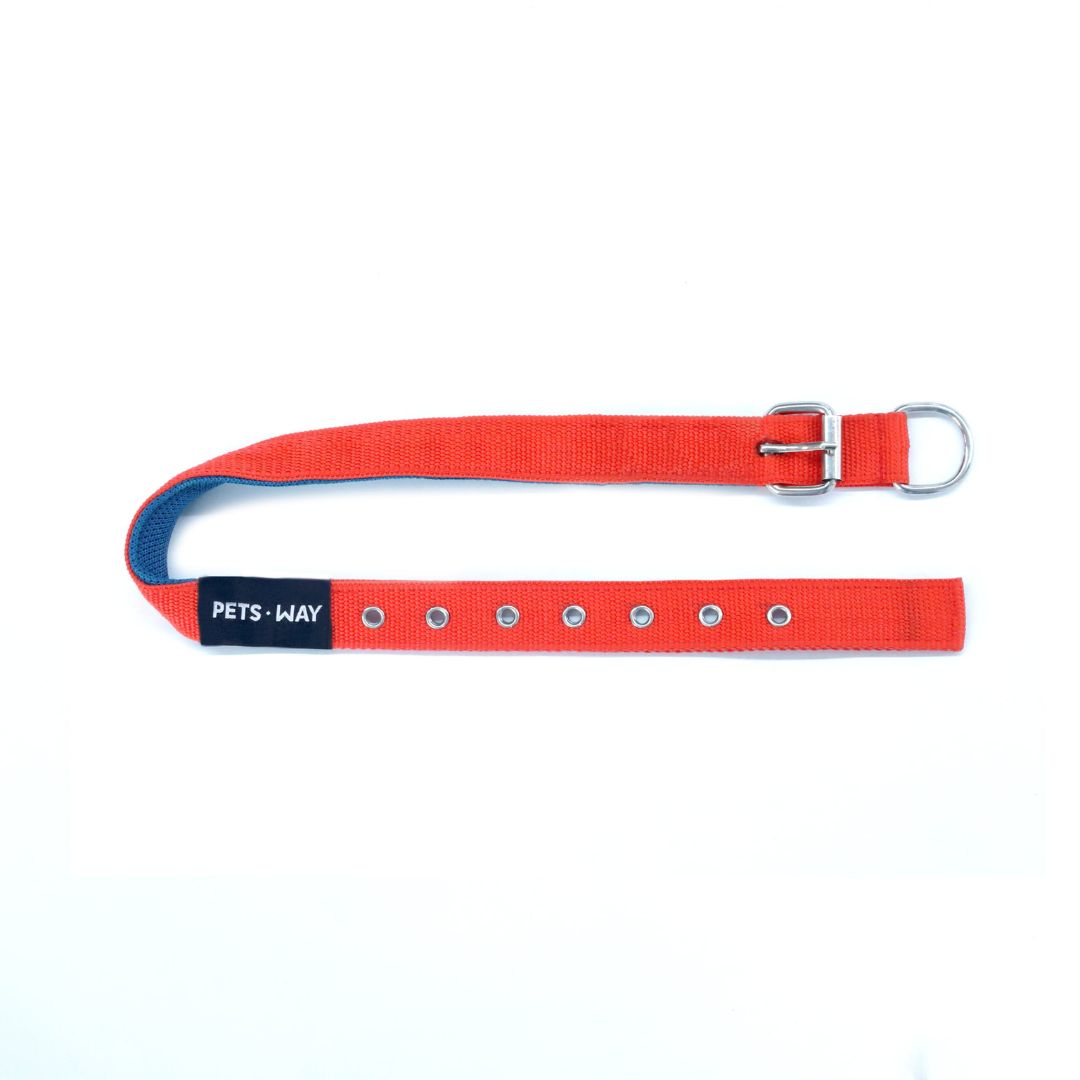 Jam Every Day Dog Collar Leash Set