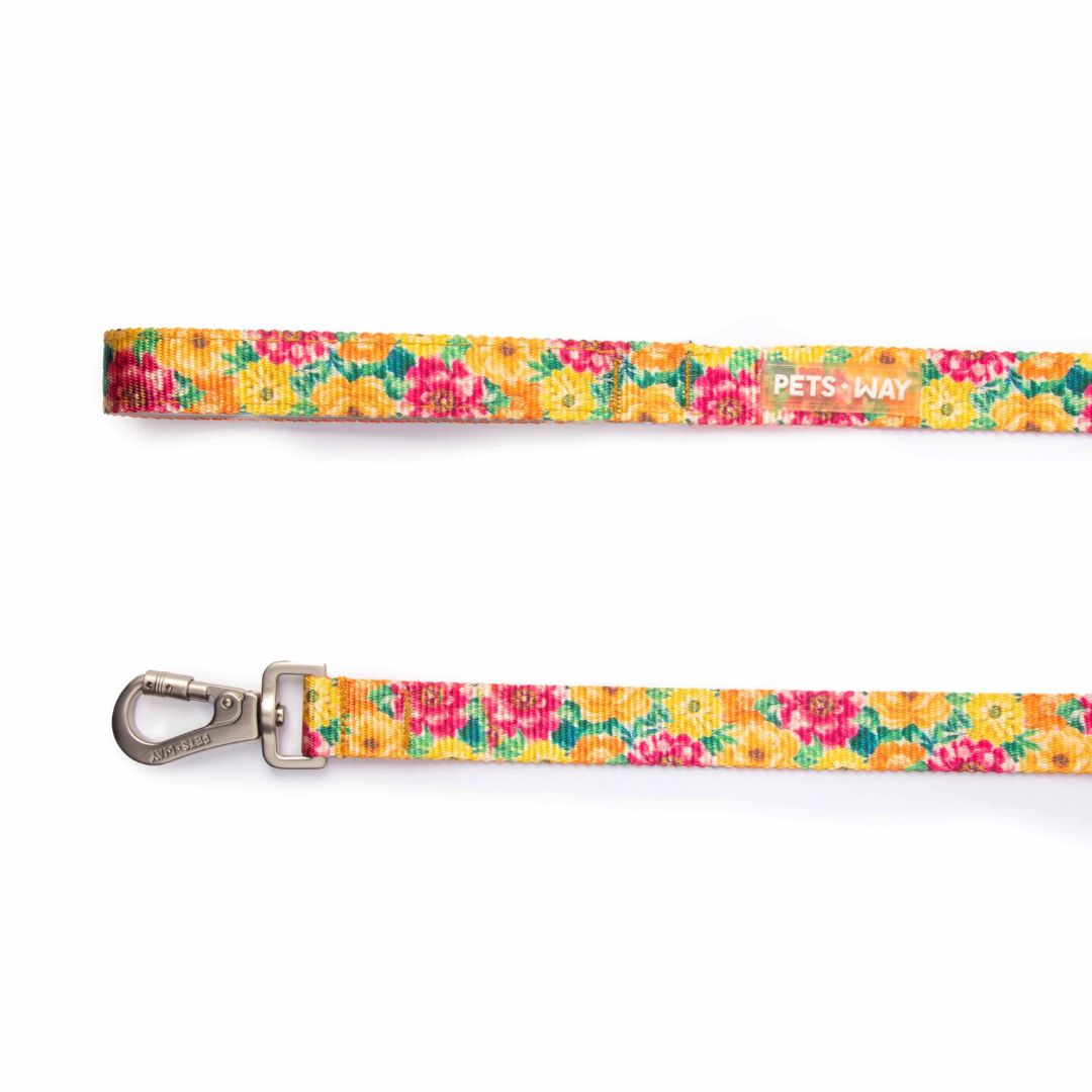 Spring Dog Collar Leash Set