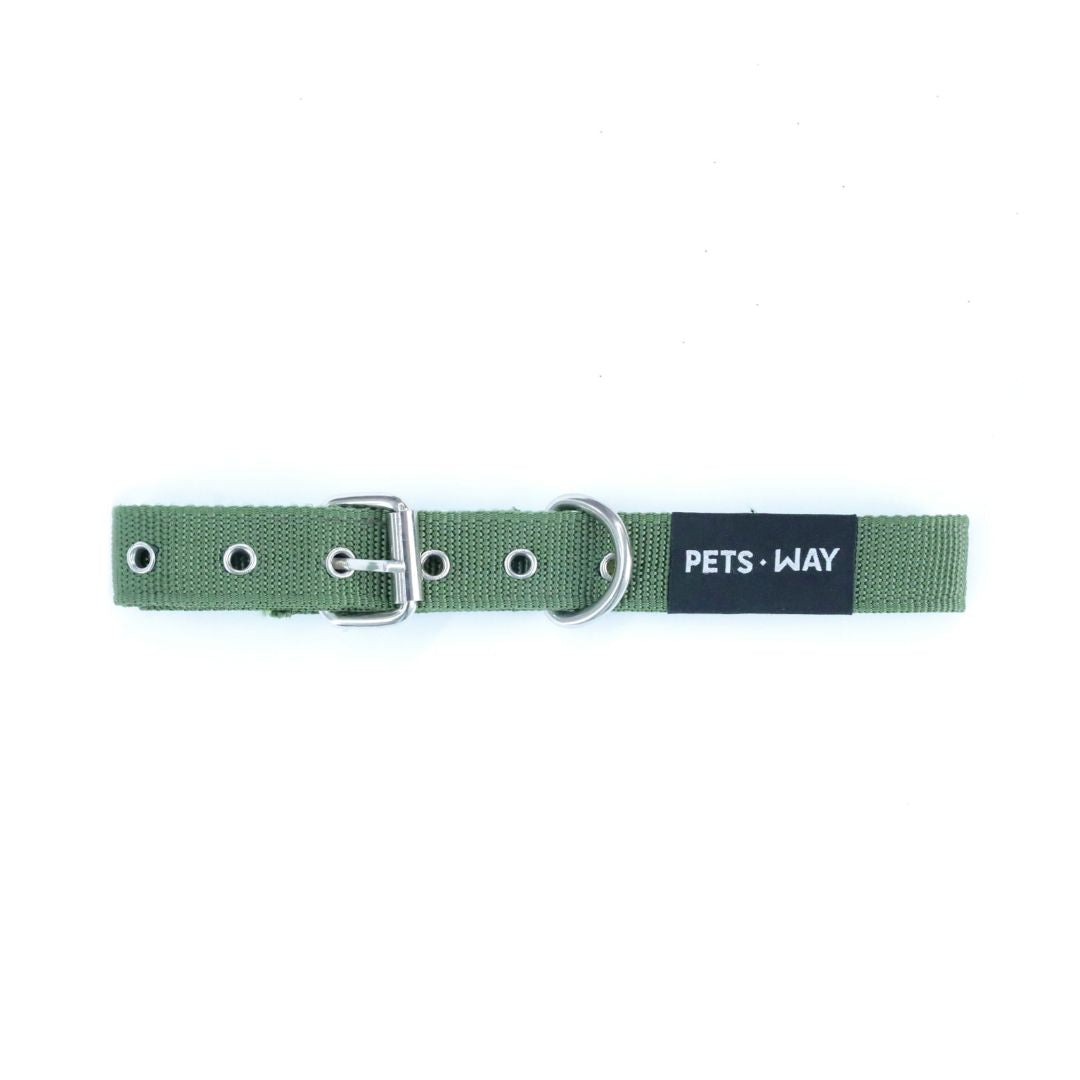 Olive Every Day Dog Collar Leash Set