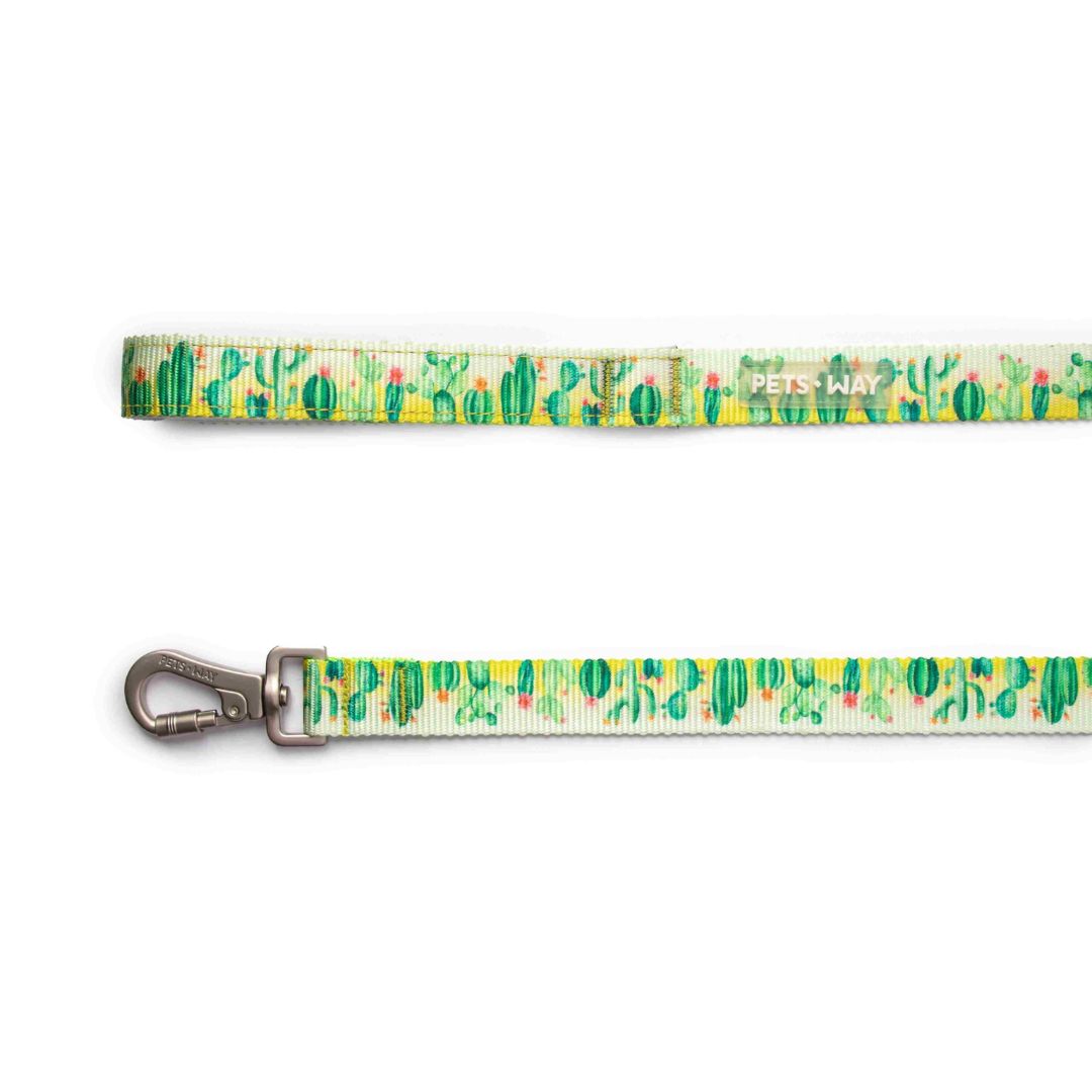 Desert Dog Collar Leash Set